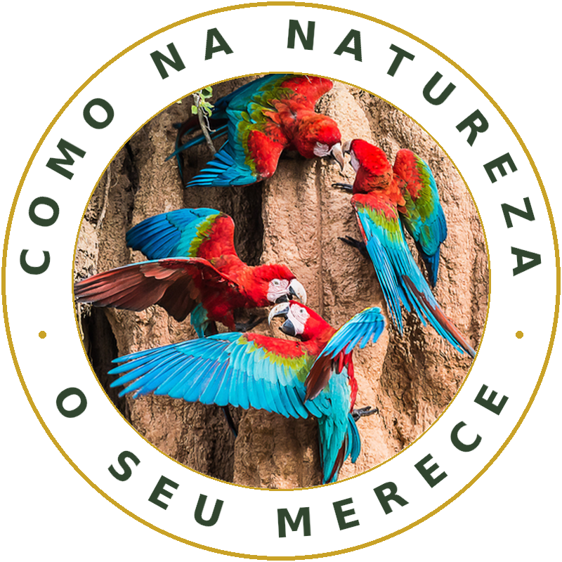 Aves roendo o barranco na natureza